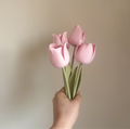 Tulpen