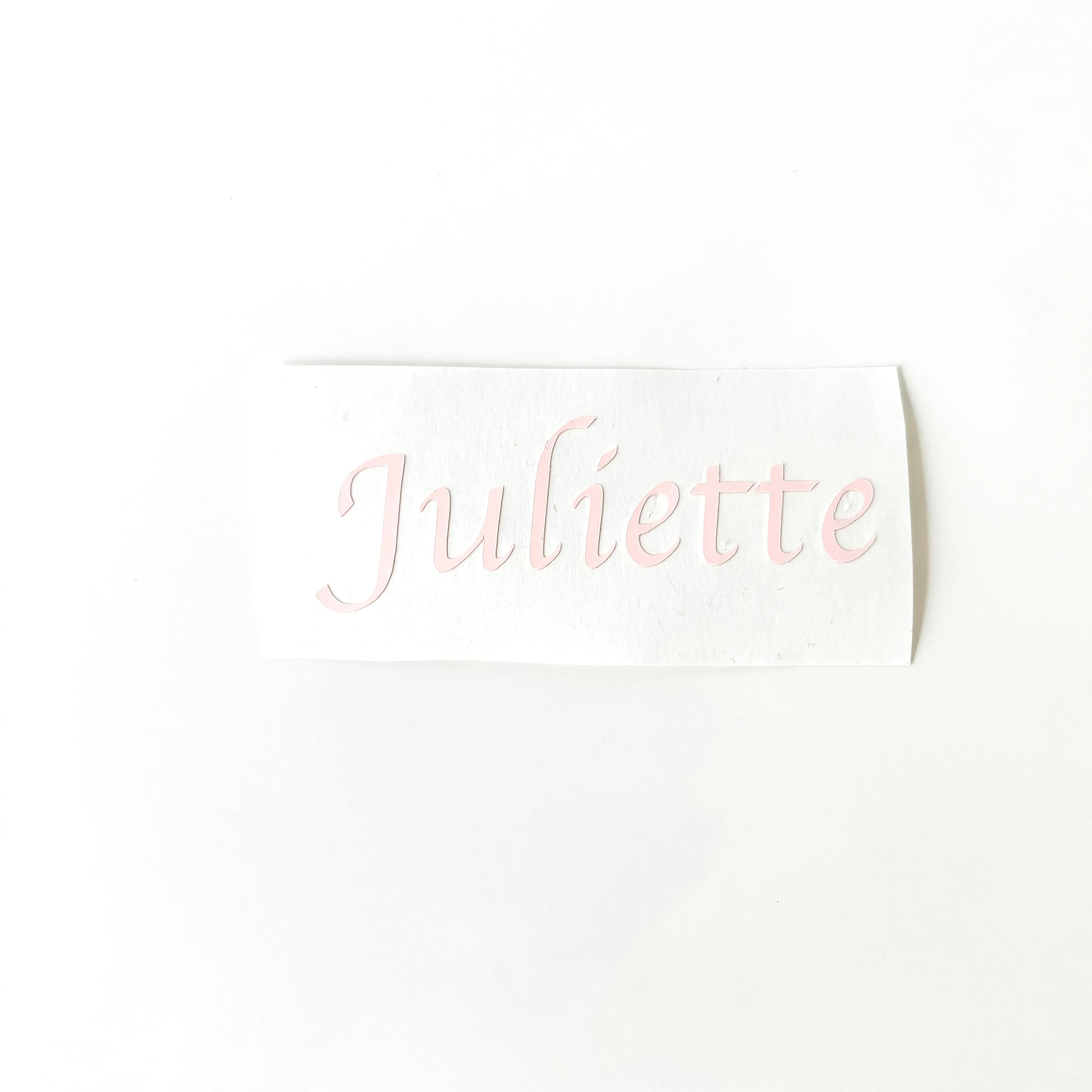 Vinyl naamsticker medium (max. 12cm)