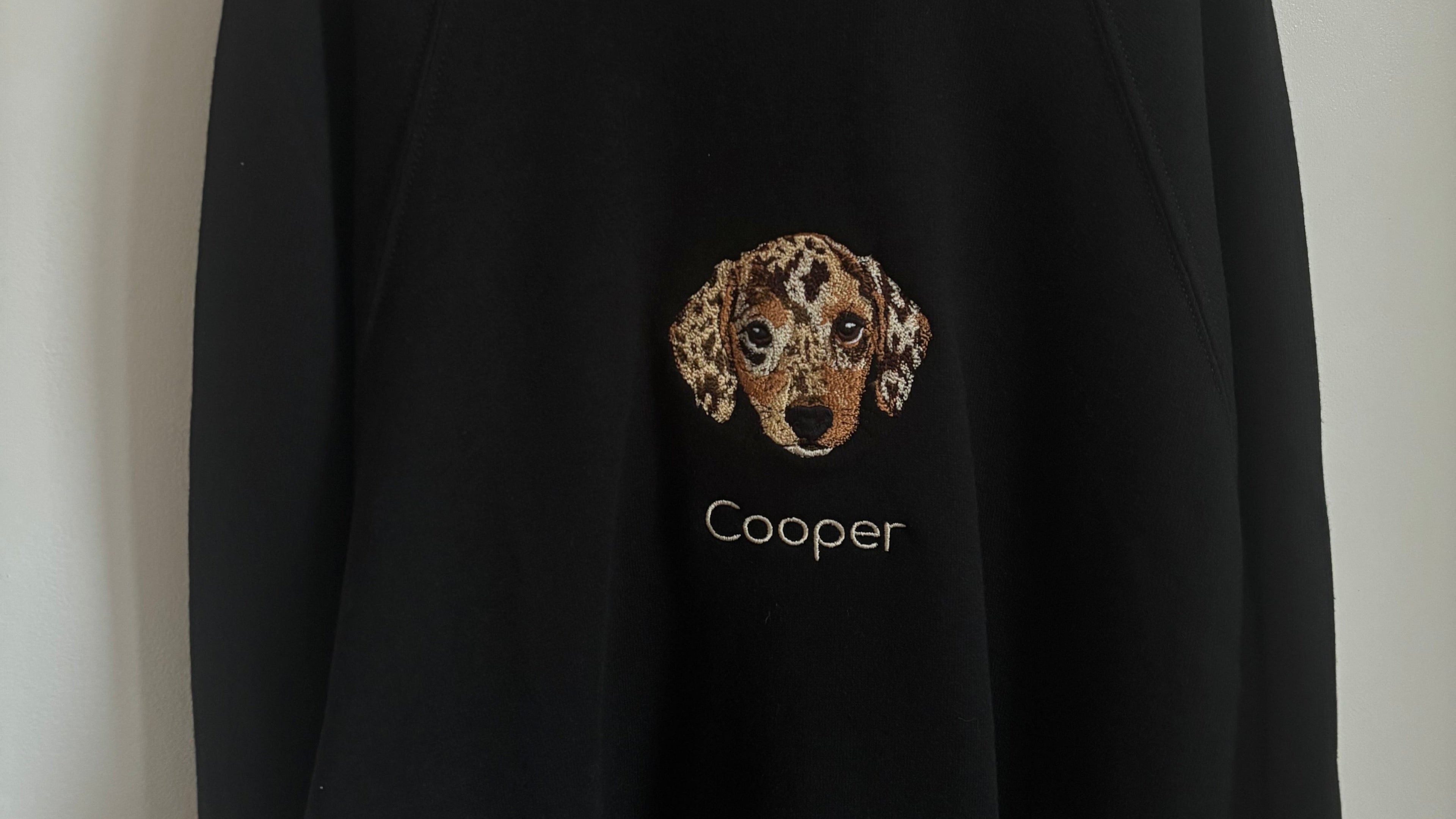 Sweater met volgeborduurde tekening huisdier